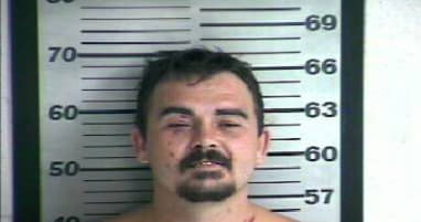 Nicholson Timothy - Dyer County, Tennessee 