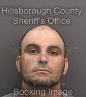 Miccio Anthony - Hillsborough County, Florida 