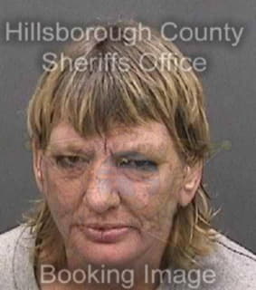 Allison Cheryl - Hillsborough County, Florida 