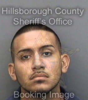 Ortega Jose - Hillsborough County, Florida 