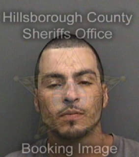 Mendez Joshua - Hillsborough County, Florida 