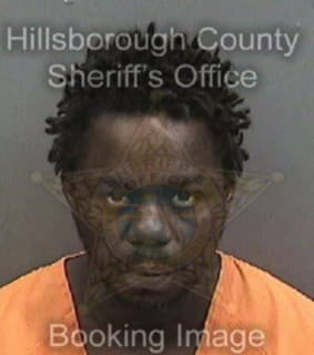 Williams Michael - Hillsborough County, Florida 