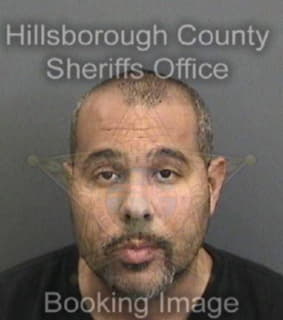 Mickens Patrick - Hillsborough County, Florida 