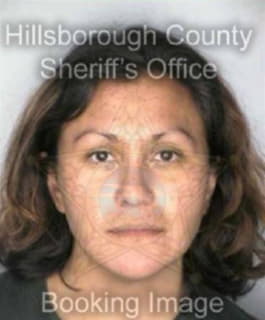 Driggs Tovah - Hillsborough County, Florida 