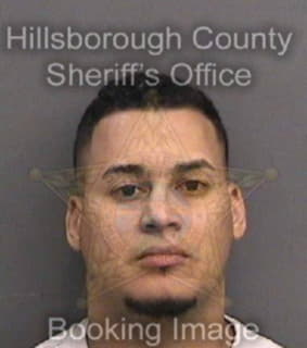 Campos Denzel - Hillsborough County, Florida 