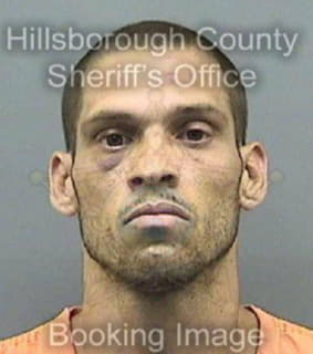 Raulerson James - Hillsborough County, Florida 