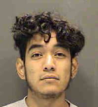 Aca Jose - Sarasota County, Florida 