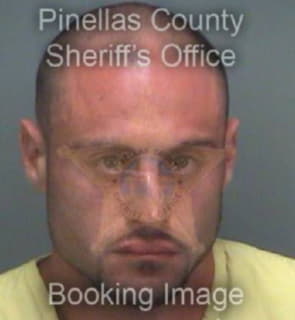 Amoroso Joseph - Pinellas County, Florida 