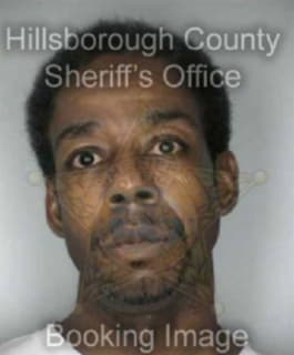 Richardson Darryl - Hillsborough County, Florida 