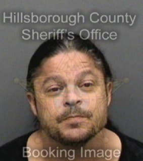 Ortiz David - Hillsborough County, Florida 