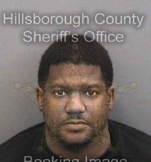 Rogers David - Hillsborough County, Florida 