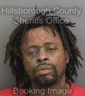 Bradford Henry - Hillsborough County, Florida 