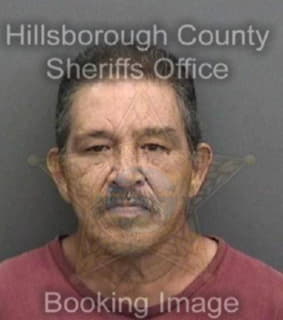 Deleon Artemio - Hillsborough County, Florida 