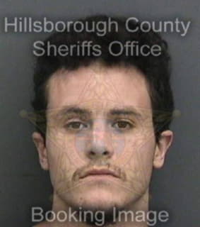 Sylvestry David - Hillsborough County, Florida 