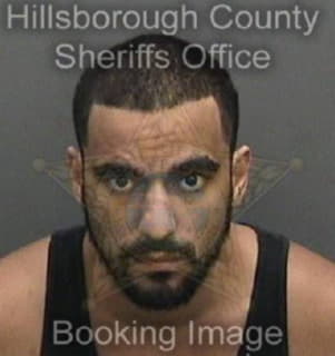 Ward Steven - Hillsborough County, Florida 