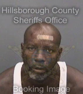 Wiggins Arthur - Hillsborough County, Florida 