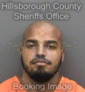 Rodriguez Calixto - Hillsborough County, Florida 