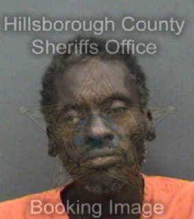 Kinsler Clifford - Hillsborough County, Florida 