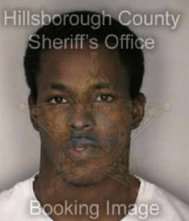 Lester Debarge - Hillsborough County, Florida 