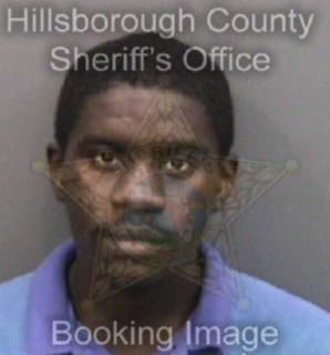 Wilson Demonterrio - Hillsborough County, Florida 