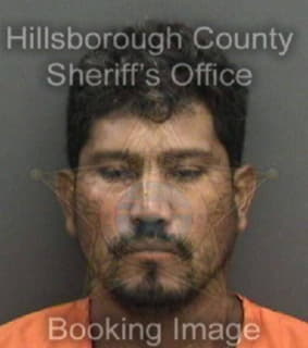 Perezherrera Ernesto - Hillsborough County, Florida 