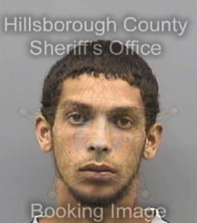 Diazdiaz Jose - Hillsborough County, Florida 