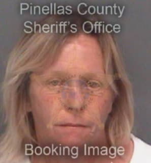 Collins Deana - Pinellas County, Florida 