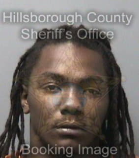 Williams Ryan - Hillsborough County, Florida 