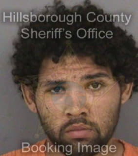 Mitchell Brian - Hillsborough County, Florida 