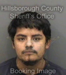 Nolasco Juan - Hillsborough County, Florida 