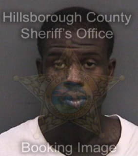 Anderson Kevin - Hillsborough County, Florida 