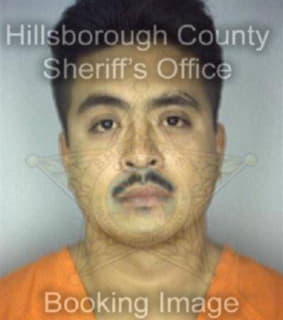 Ross Minh - Hillsborough County, Florida 