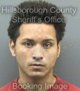 Noriega Jonnathan - Hillsborough County, Florida 