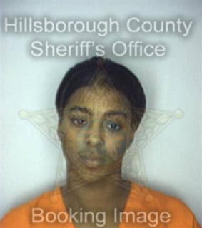 Reed Shannondolyn - Hillsborough County, Florida 