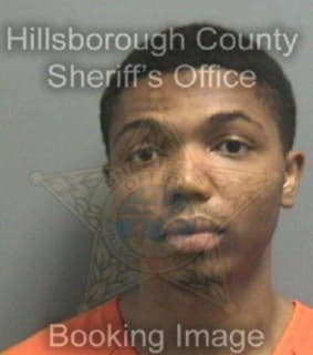 Davis Dirk - Hillsborough County, Florida 