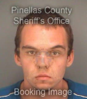 Brandes Dillon - Pinellas County, Florida 