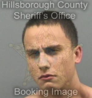 Ford Michael - Hillsborough County, Florida 