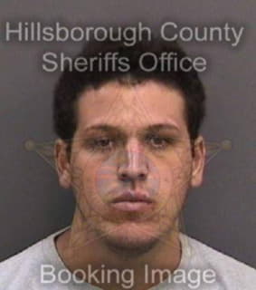 Dominguezlopez Mario - Hillsborough County, Florida 