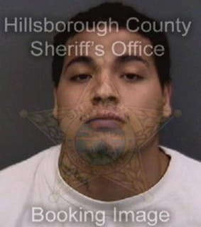 Angel Mathew - Hillsborough County, Florida 