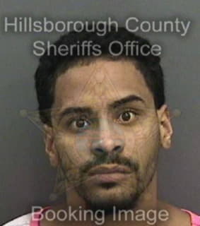 Rosario Anthony - Hillsborough County, Florida 