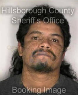 Lopez Robert - Hillsborough County, Florida 