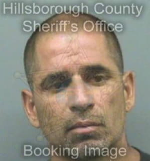 Delgado Victor - Hillsborough County, Florida 