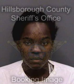 Mezime Ashley - Hillsborough County, Florida 