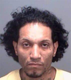 Gonzalez Howard - Pinellas County, Florida 