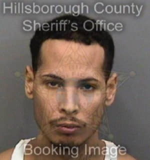 Rodriguesmontanez Luis - Hillsborough County, Florida 