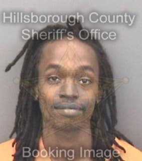 Lewis Timothy - Hillsborough County, Florida 