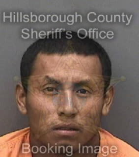 Perezlopez Edgar - Hillsborough County, Florida 