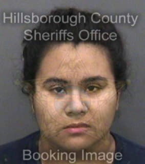 Rodriguez Lina - Hillsborough County, Florida 