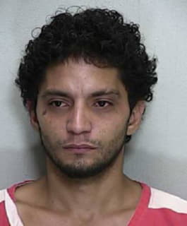 Hernandez Dagoberto - Marion County, Florida 