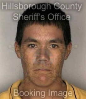 Mendez Delfino - Hillsborough County, Florida 